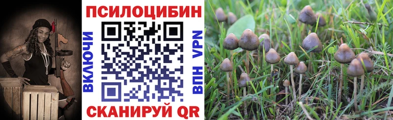 наркотики  Ртищево  Псилоцибиновые грибы Psilocybine cubensis 